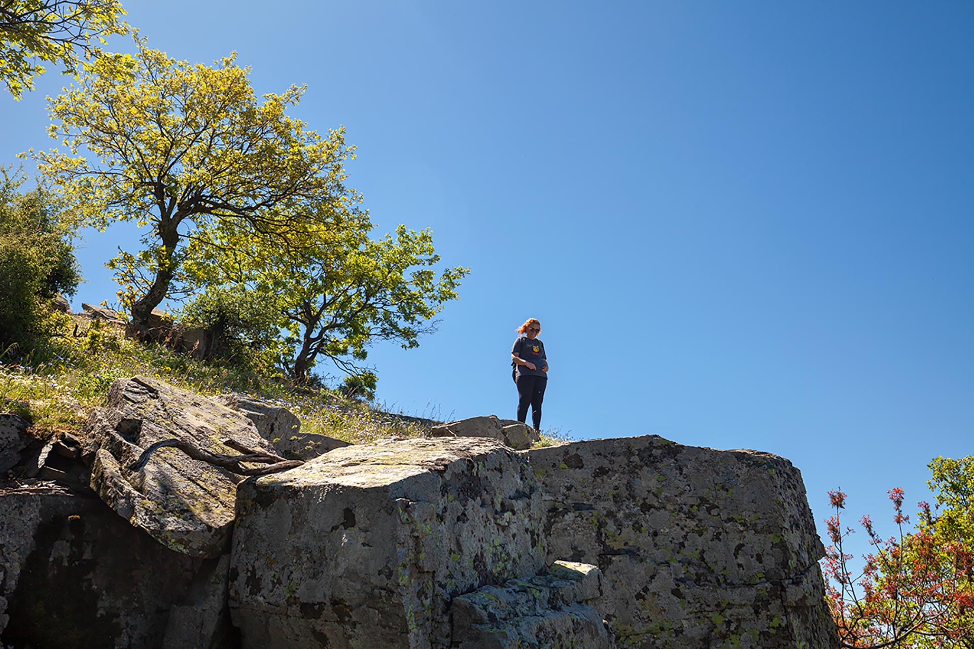 Efeler Yolu Trekking