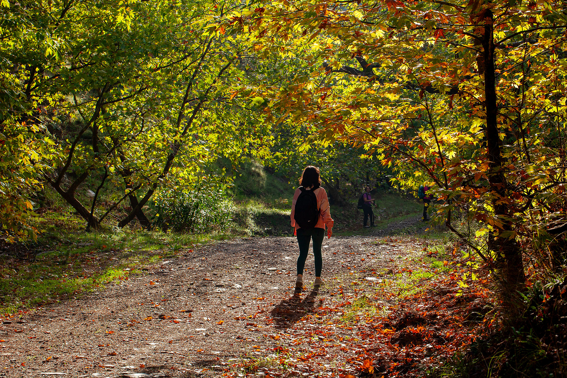 İzmir Doğa Yürüyüşleri