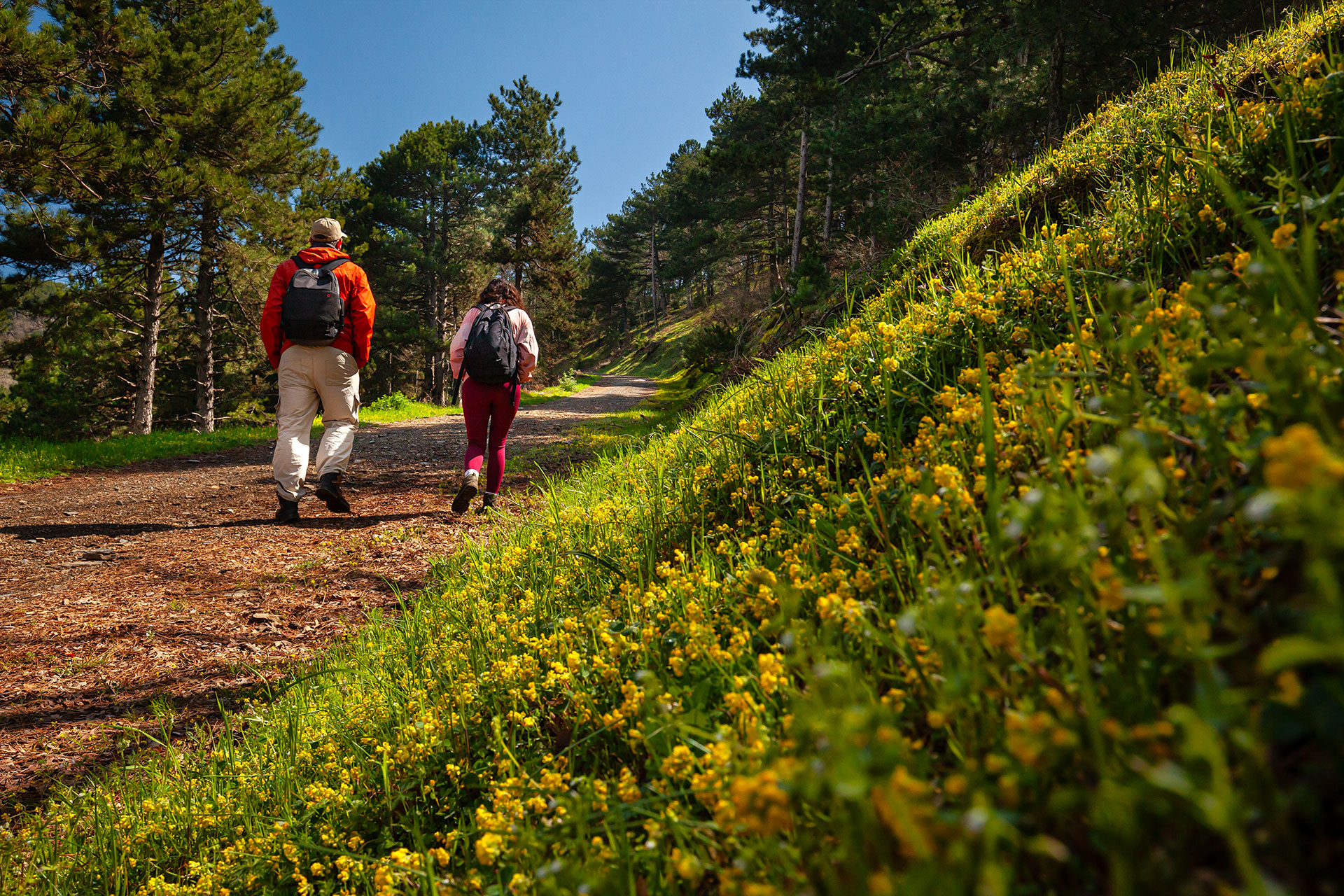 İzmir Doğa Yürüyüşleri